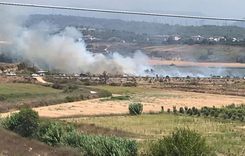 Karayolunda sigara izmariti yangına neden oldu