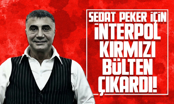 Interpol Sedat Peker için kırmızı bülten çıkardı