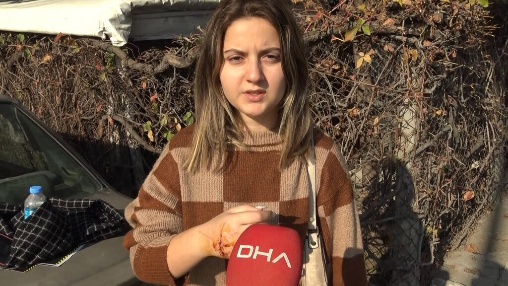 ISTANBUL AVCILARDA KAFEDE PITBULL DEH 428142 126315