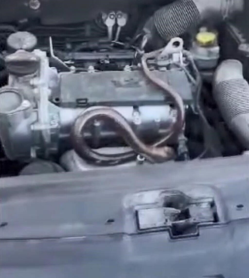 ISTANBUL BEYKOZDA OTOMOBILIN MOTOR KI 362229 100030