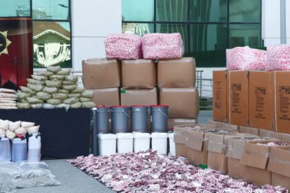 ISTANBUL ISTANBUL MERKEZLI 7 ILDE NARKO 973573 289114