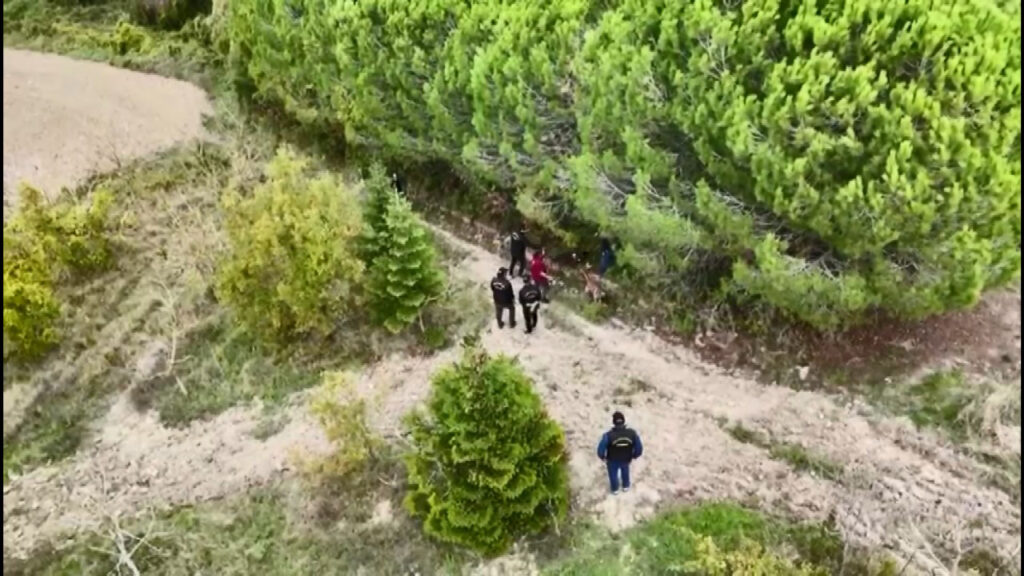 Korkunç cinayet! İş adamı ormanda ölü bulundu, katili en yakını çıktı