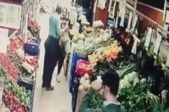 ISTANBUL KUCUKCEKMECEDE EVCIL HAYVANI 940702 279355 e1759303555659