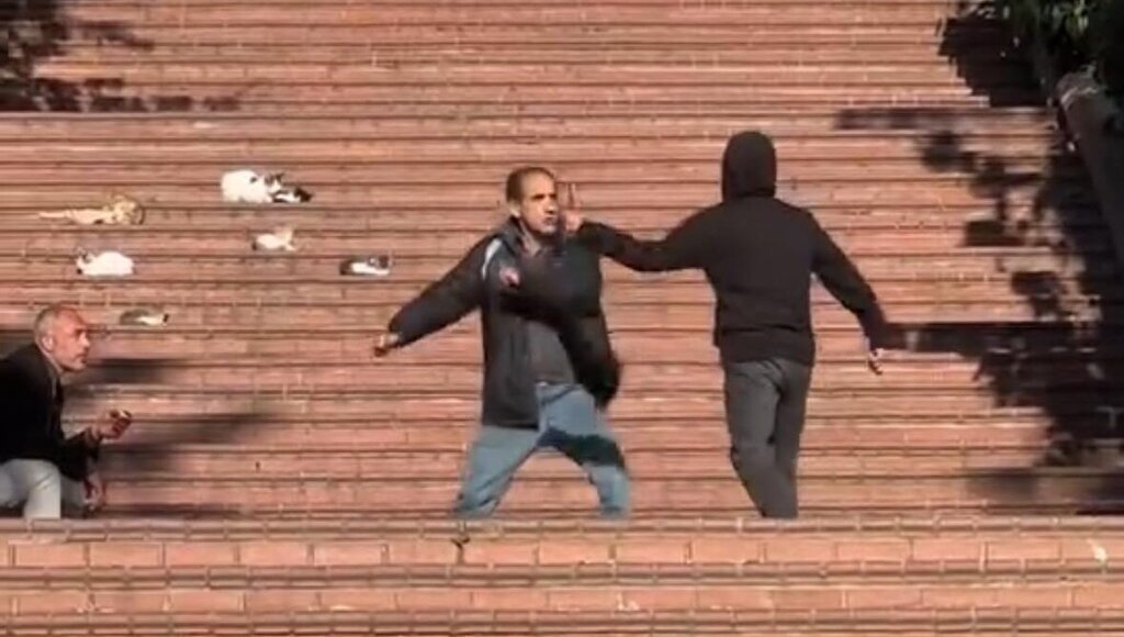 ISTANBUL NISANTASINDA PARKTA BICAKLI 404577 119175 e1730709058861