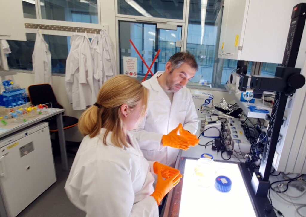 ISTANBUL TURK PROFESORUN ARASTIRMASI C 452844 133721