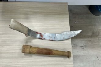 IZMIRDE KAYINPEDER ILE DAMADIN PALA VE 940695 279352