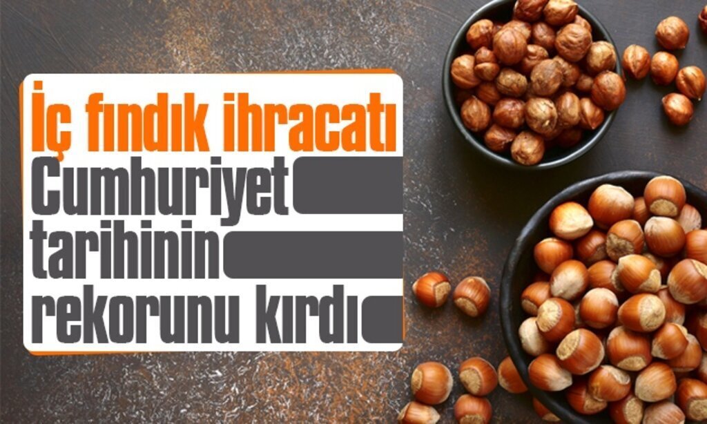 Ic findik ihracati Cumhuriyet tarihinin rekorunu kirdi1