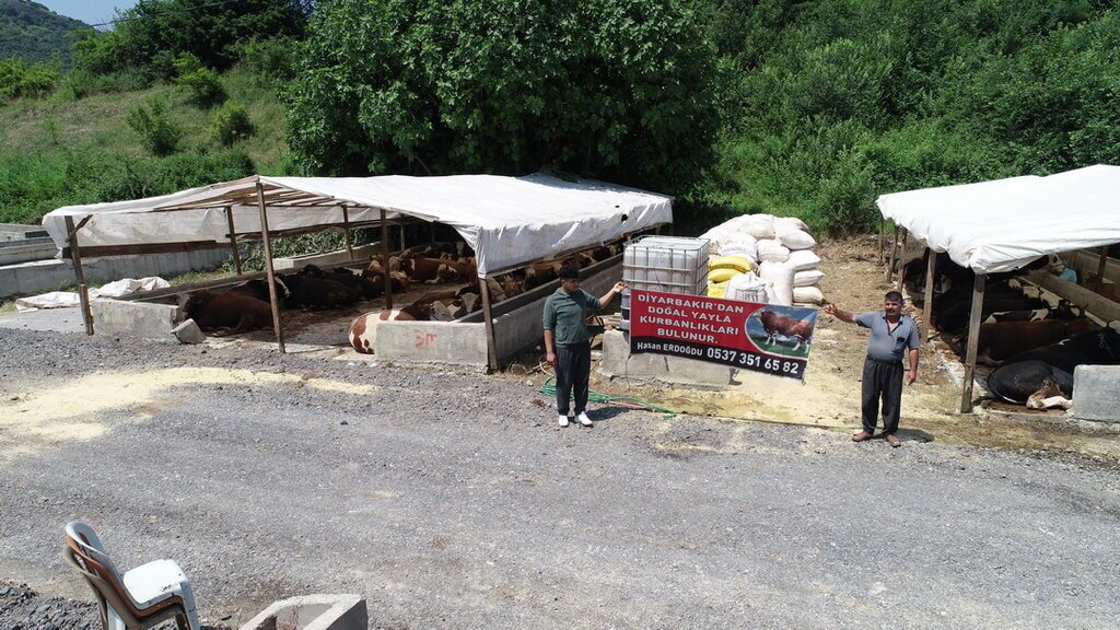 Ilkadim Hayvan Pazari Hareketlendi