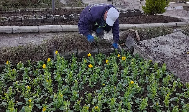 İlkadım’a 100 bin mevsimlik çiçek