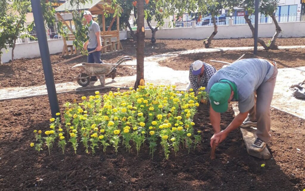 Ilkadima Bahar Bakimi