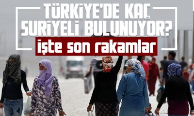 Türkiye’de kaç Suriyeli sığınmacı yaşıyor?