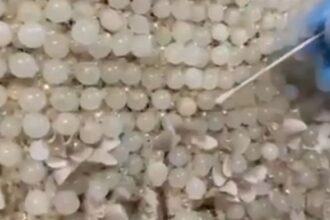 KAYSERIDE GELINLIGE ISLENMIS 25 KILOGRA 949098 281793