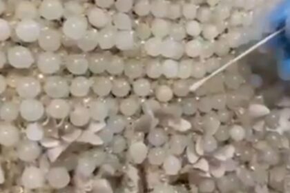 KAYSERIDE GELINLIGE ISLENMIS 25 KILOGRA 949098 281793