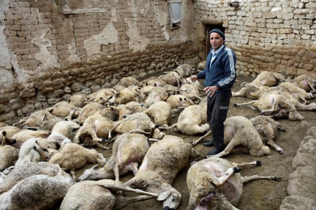 KOYE INEN KURT 66 KUCUKBASI OLDURDU 369782 102195