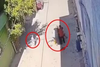 KUCAGINDA COCUGUYLA YURUYEN ANNEYI 3 KAD 925498 274927