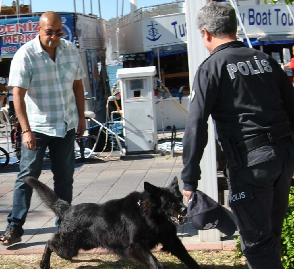 Kurt köpeği polis memuruna saldırdı