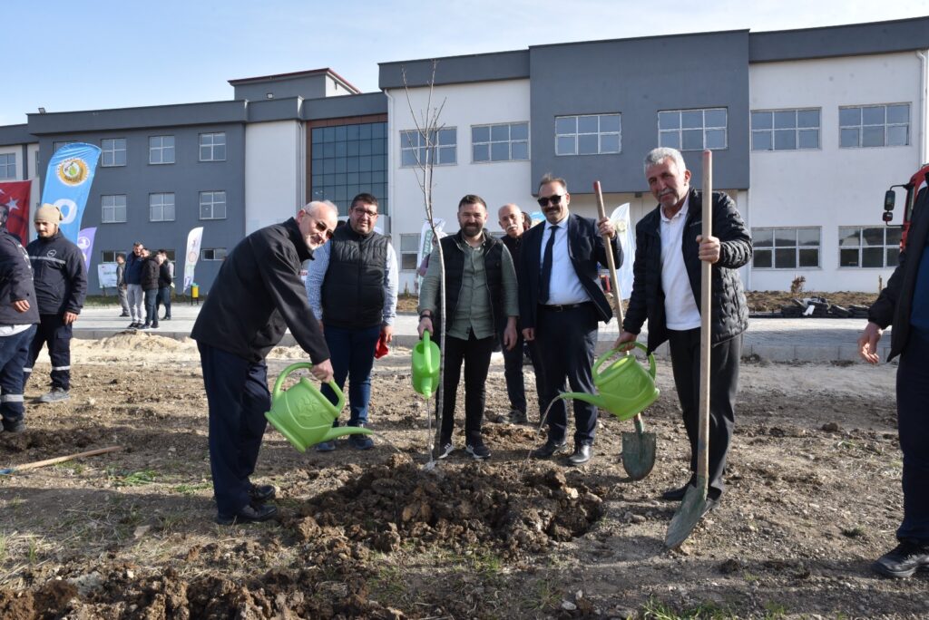 Ladik’te Dikilen Fidanlar Geleceği Yeşillendirecek