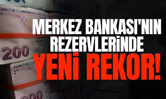 Merkez Bankası’nın rezervlerinde yeni rekor