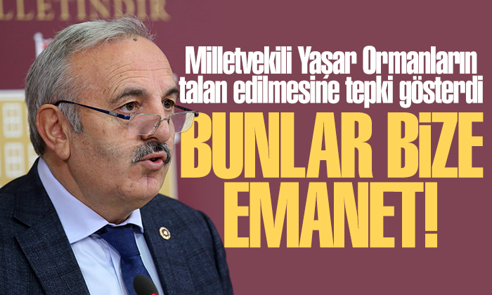 Milletvekili Yaşar Ormanların talan edilmesine tepki gösterdi 