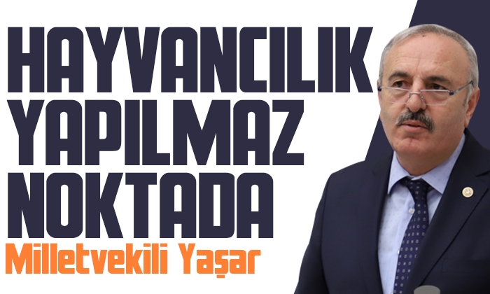 Milletvekili Yaşar: Hayvancılık yapılmaz bir noktada!  