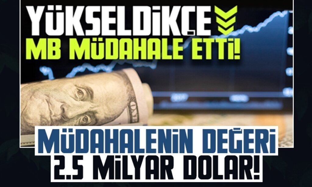 MuDAHALENiN DEGERi1