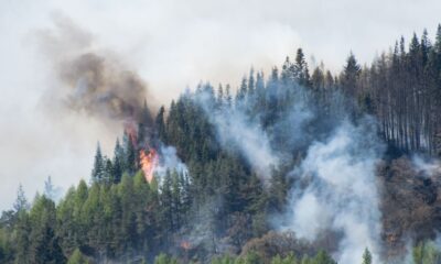 Muğla’nın Yatağan İlçesinde Orman Yangını Çıktı
