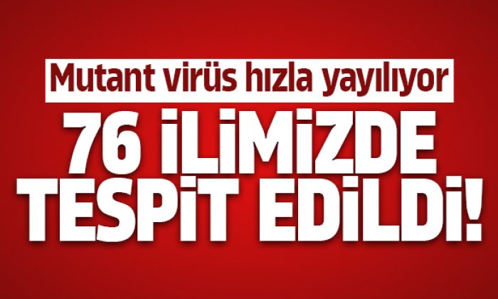 Türkiye’nin 76 ilinde mutant virüs tespit edildi