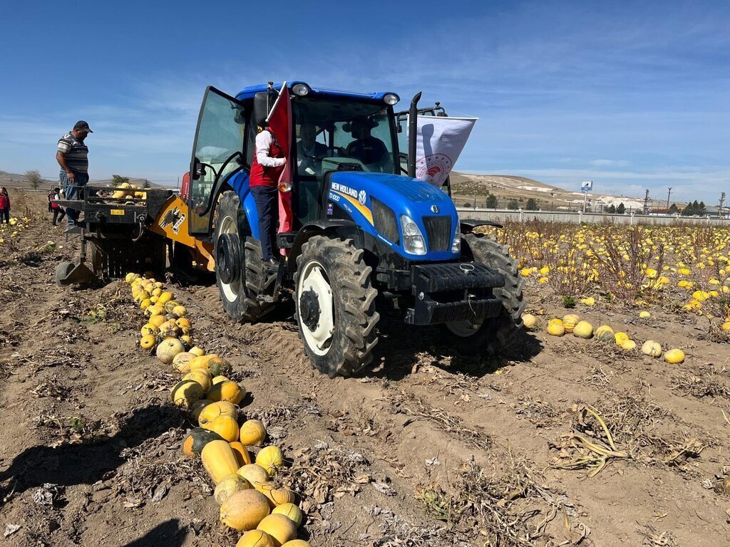 NEVSEHIRDE CEREZLIK KABAK CEKIRDEGI HAS 364122 100573