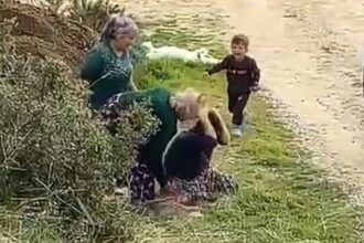 OGLUNUN GOZU ONUNDE KUZENLERI TARAFINDAN 1072308 318202 scaled e1766242292367