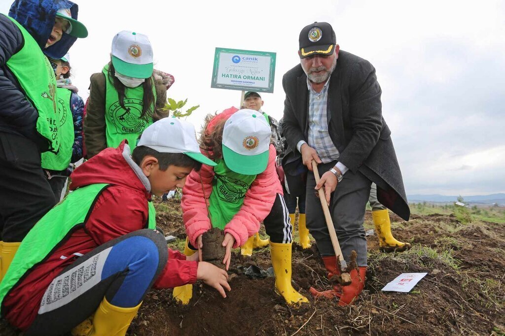 OGRETMENLER ANISINA 1330 FIDAN