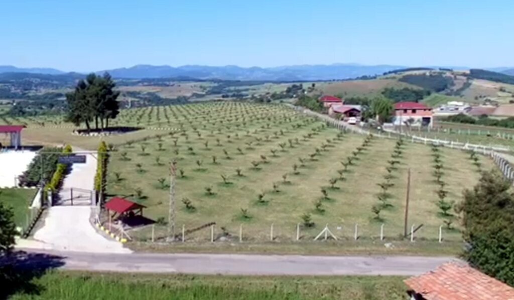 OLTAN KoLEOgLU ENERJi istiraki ile Turkiye’nin ilk findik ciftligi 1