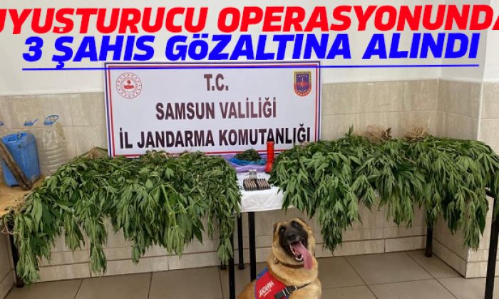 Samsun’da uyuşturucu madde ele geçirilerek 3 şahıs gözaltına alındı