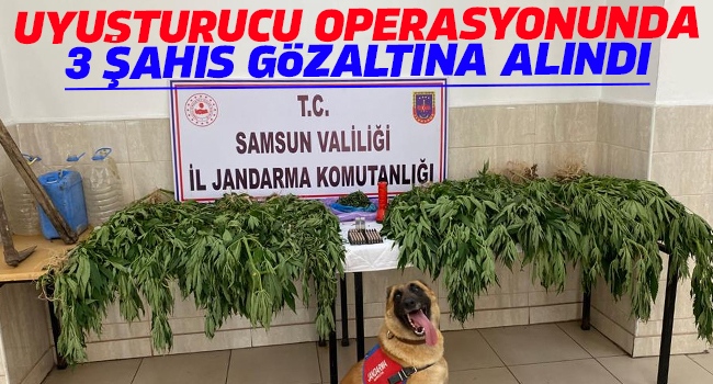 Samsun’da uyuşturucu madde ele geçirilerek 3 şahıs gözaltına alındı