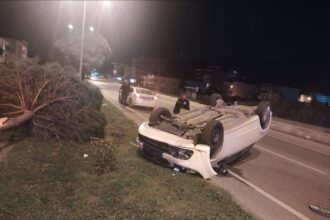 OTOMOBIL AGACA CARPIP TERS DONDU 1 YAR 1030001 305601