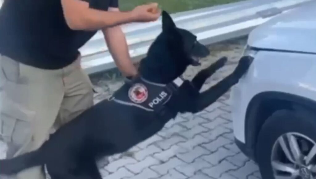 Samsun’da narkotik dedektör köpeği 1 kilo metamfetamini buldu