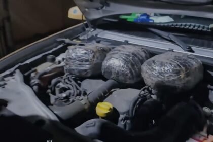 OTOMOBILIN KAPUTUNUN ALTINDA 3 KILO SKUN 1010692 299780