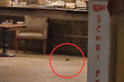 PASTANEYE PIMI CEKILMEMIS EL BOMBASI ATT 948990 281766 scaled e1759757084472