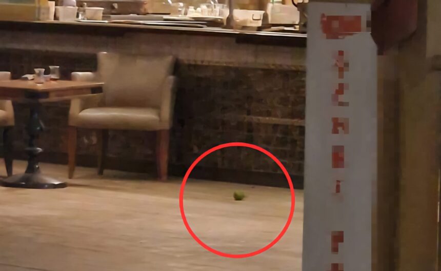 PASTANEYE PIMI CEKILMEMIS EL BOMBASI ATT 948990 281766 scaled e1759757084472