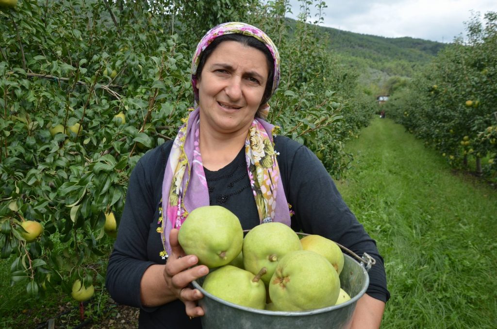 Rusya 20 ton meyveyi geri gönderdi