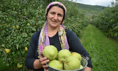 Rusya 20 ton meyveyi geri gönderdi