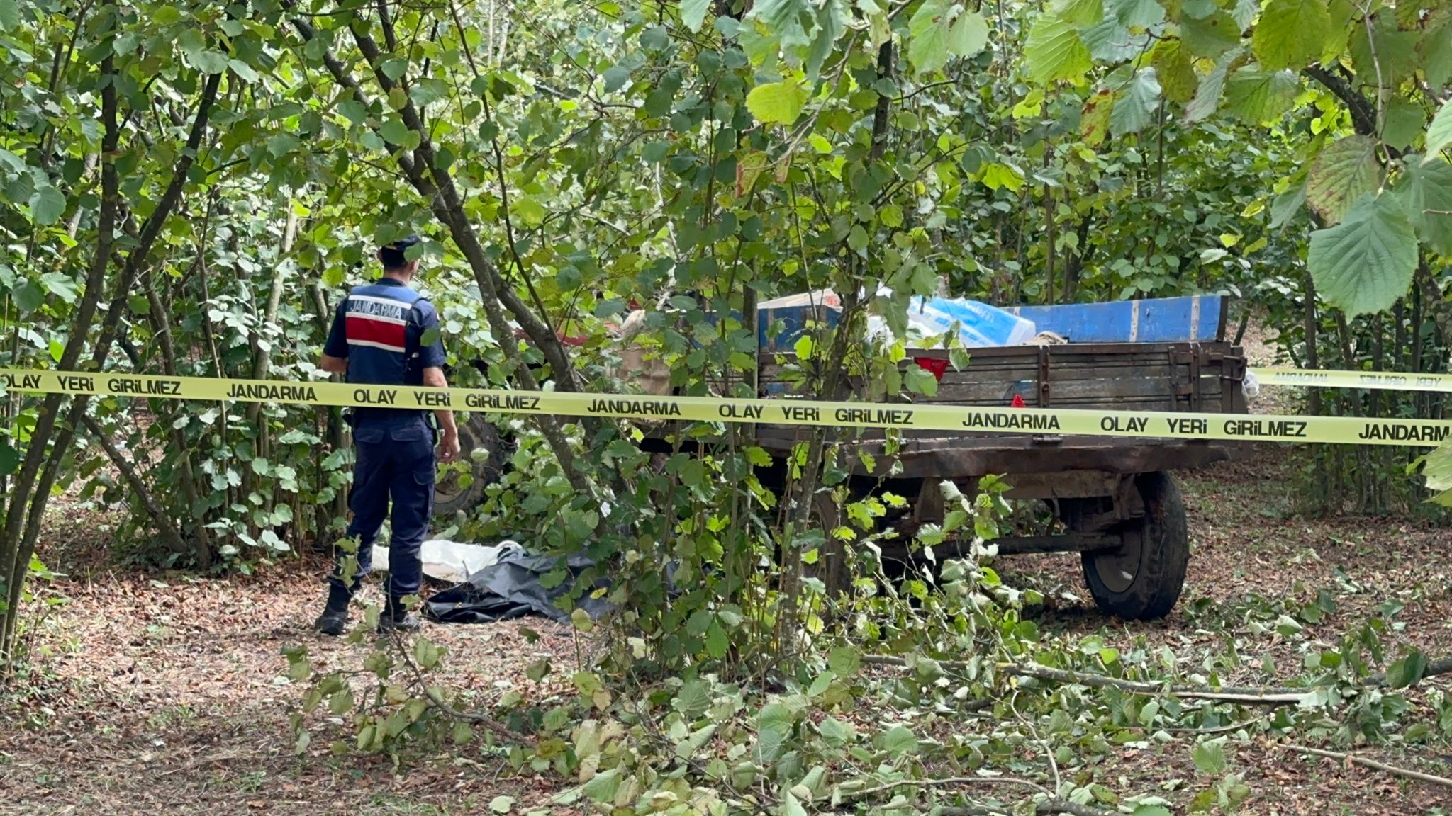 SAKARYA TRAKTORDEN DUSUP TEKER ILE AGAC 912940 271242