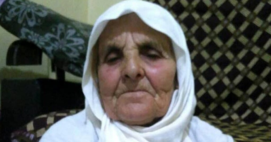 SALDIRDIKLARI KADINI OLDUREN KOPEKLERIN 537291 159176