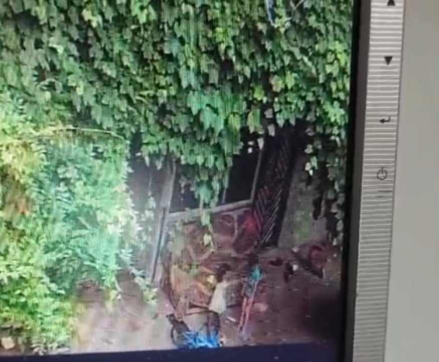 SALINCAGIN IPINI BOYNUNA DOLAYIP SALLANM 909643 270281