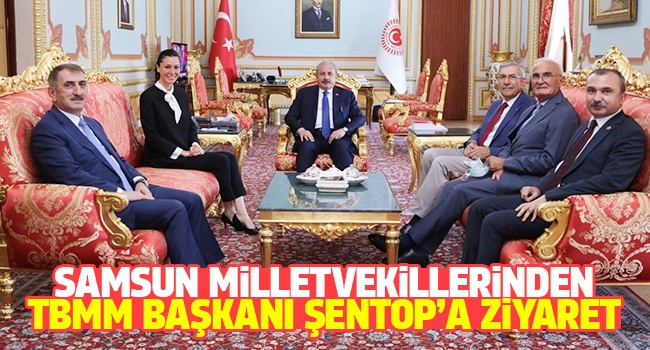 Samsun Milletvekillerinden TBMM Başkanı Şentop’a ziyaret