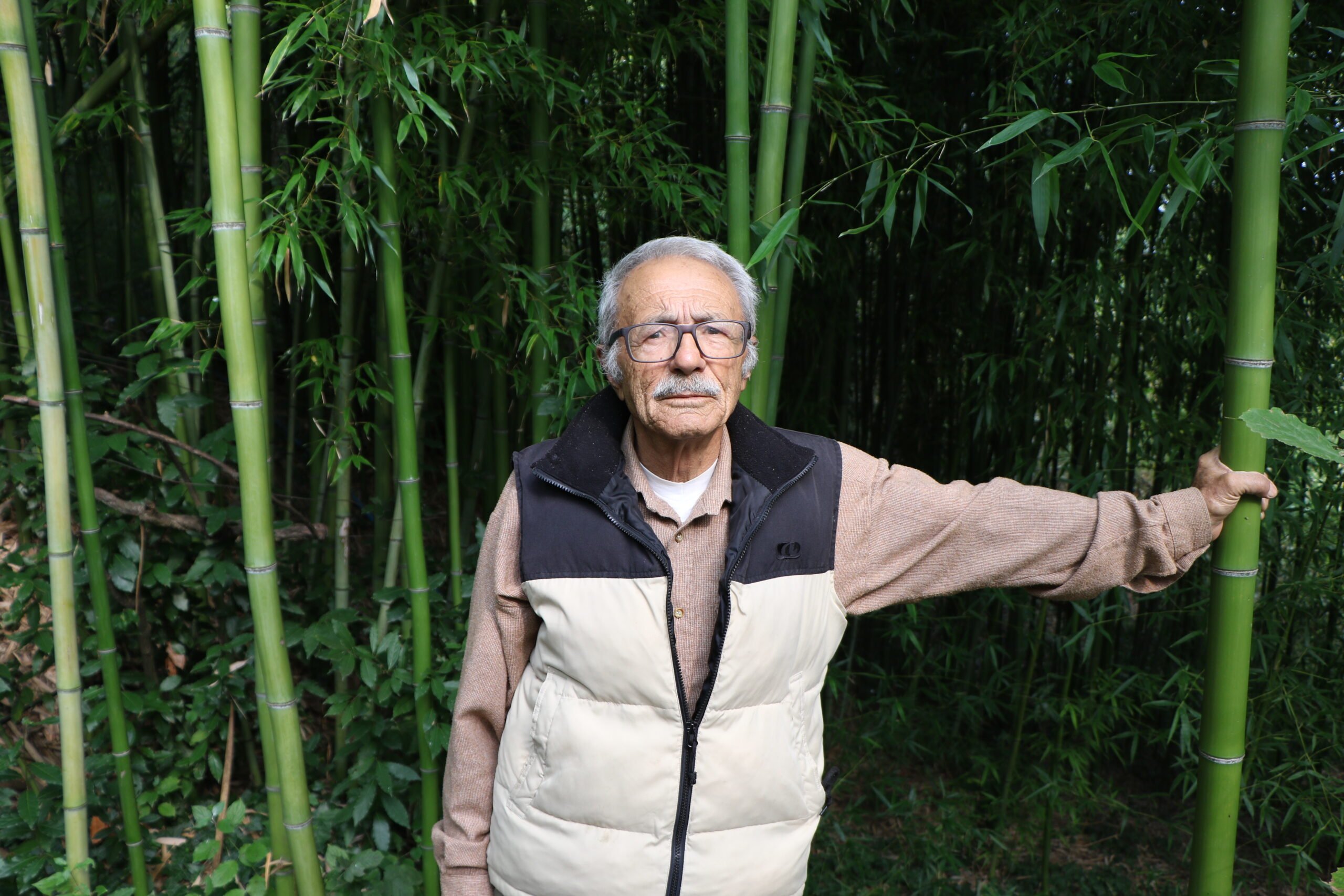 Samsun'da 10 yıldır bahçesinde bambu yetiştiriyor