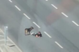 SAMSUNDA BIR KISI ANA YOLUN SAG SERIDI 918023 272801