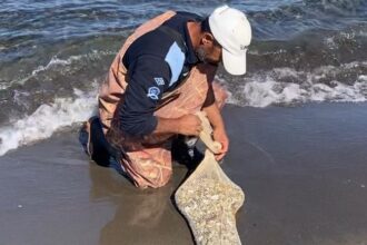 SAMSUNDA KACAK YOLLA AVLANAN YAKLASIK 963204 286013 e1760449163664