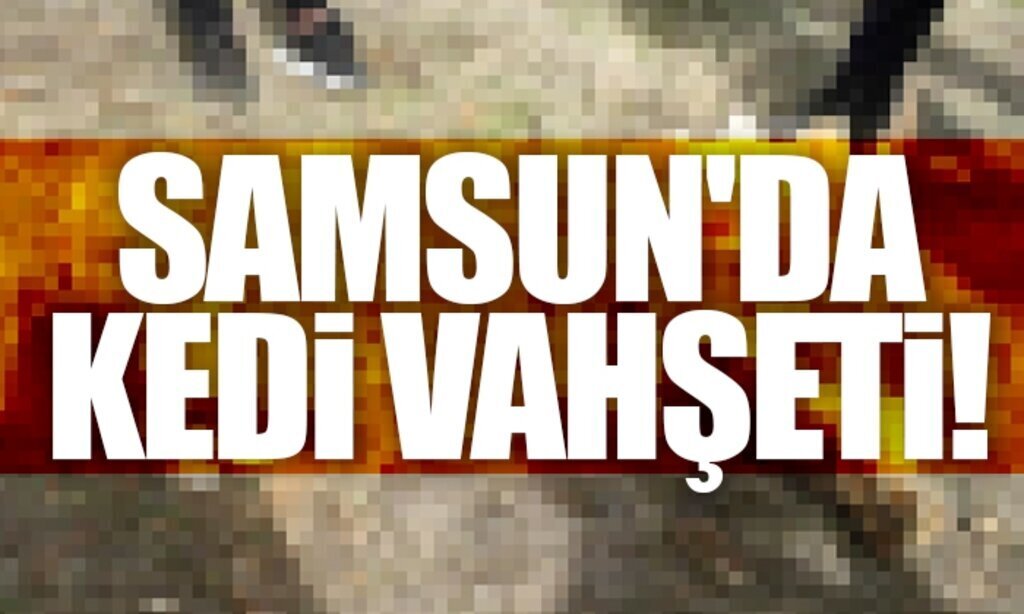 SAMSUNDA KEDi VAHSETi1