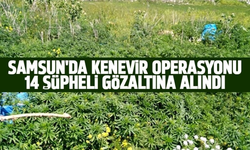 SAMSUNDA KENEViR OPERASYONI1