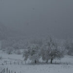 SAMSUNUN YUKSEK KESIMLERINDE KAR ETKILI 1066021 316333